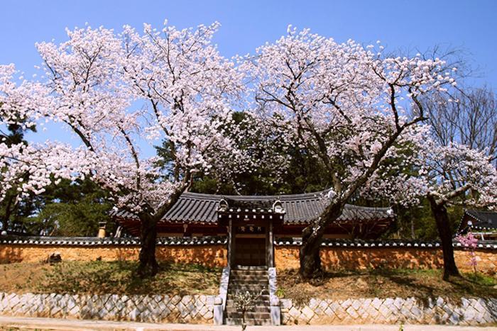 Willa Wolamjae Gyeongju Zewnętrze zdjęcie
